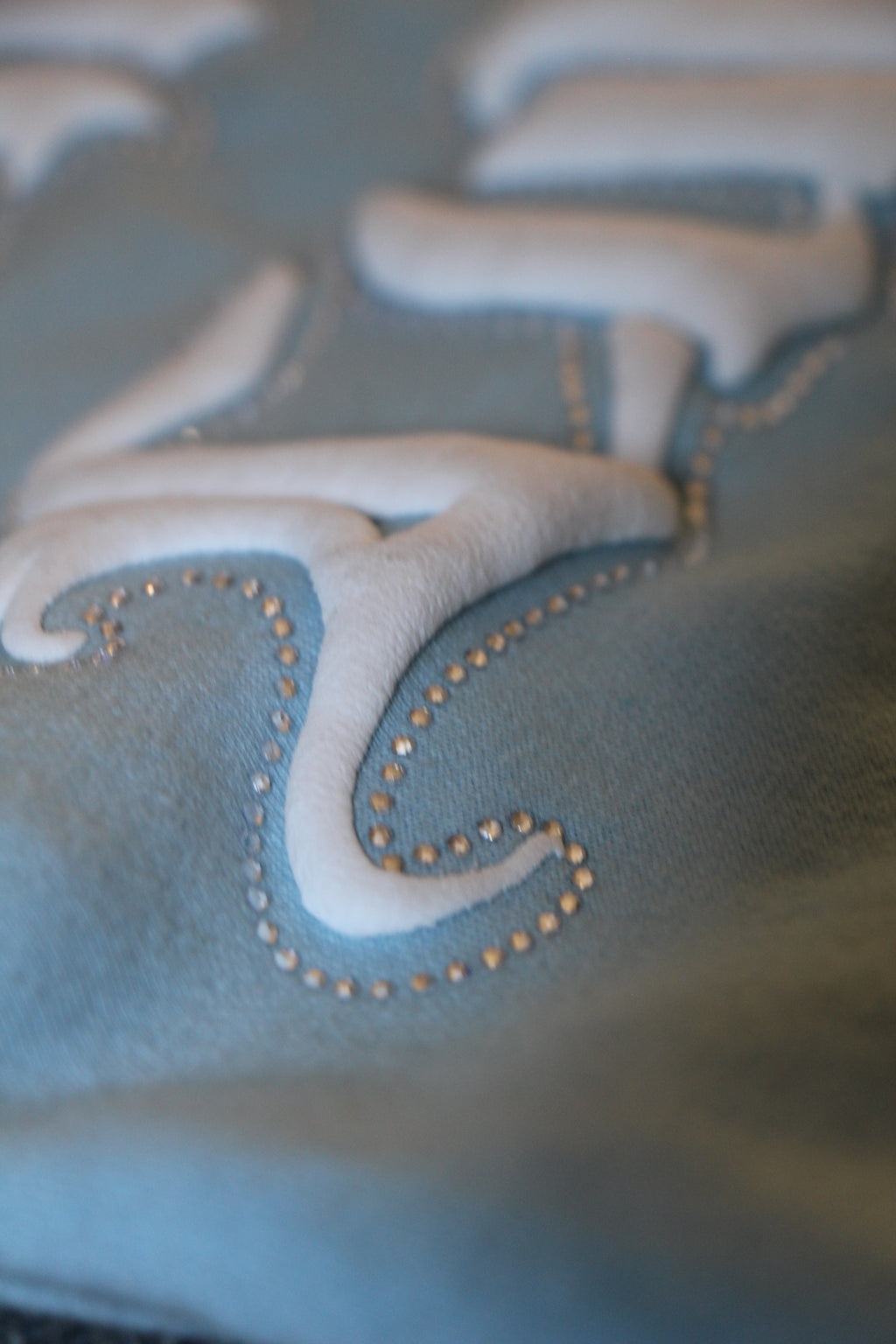 Baby Blue Rhinestone Zip-Up Hoodie